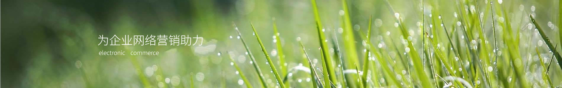 ȷٹ˿Ƽ޹˾